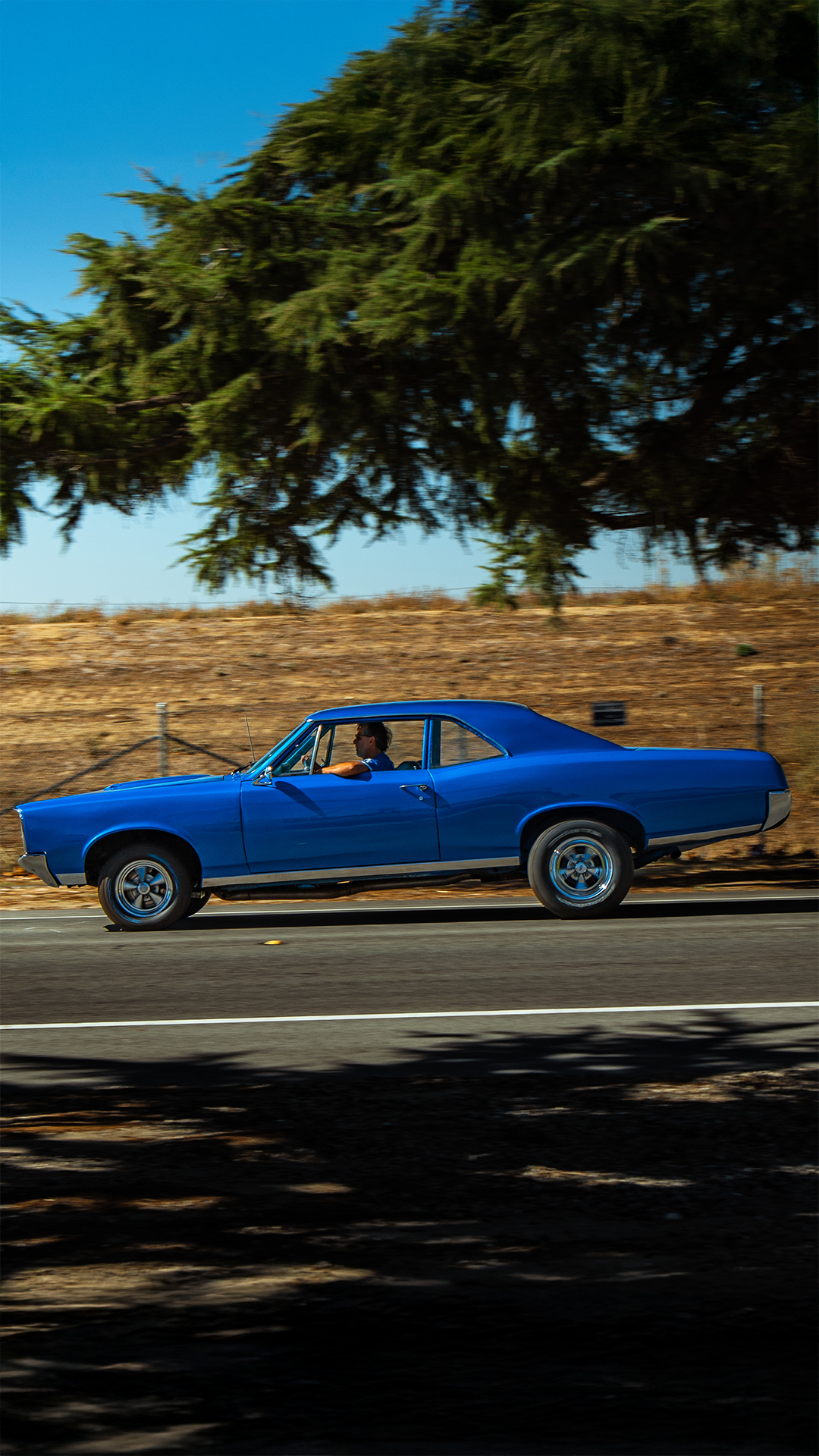 Blue 1967 Pontiac GTO cruising past a shaded roadside